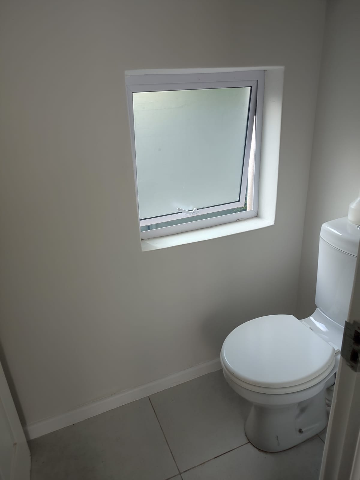 Frosted Toilet window